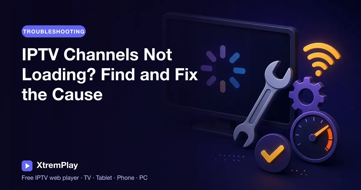 Viewer checking an IPTV playlist and stream status on a browser player